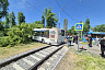 В Саратове автобус с пассажирами протаранил дерево